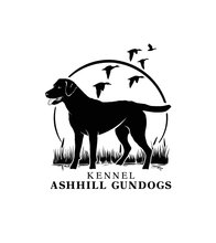 Kennel Ashhill Gundogs